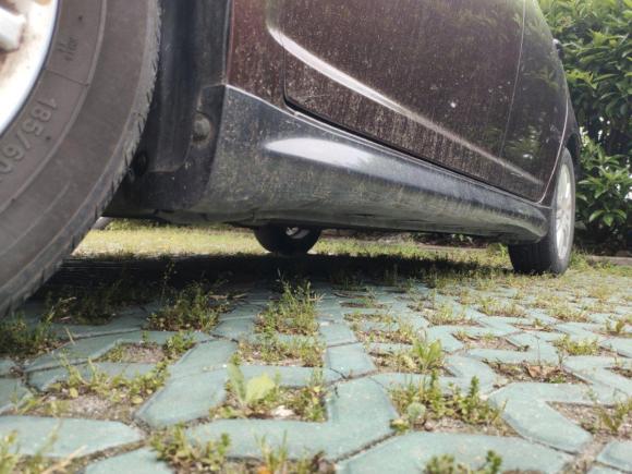 [上海·苏E] 二手铃木雨燕2011款 1.5L 自动运动版