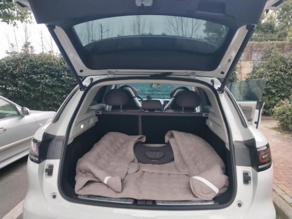 [上海·苏F] 二手零跑汽车零跑C112021款 豪华版