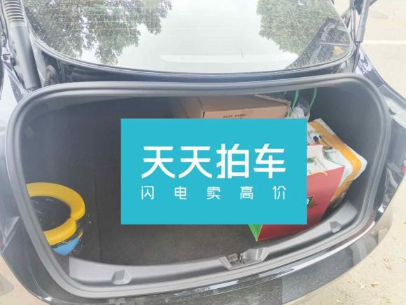 [济南·鲁A] 二手特斯拉Model 32021款 标准续航后驱升级版 3D6
