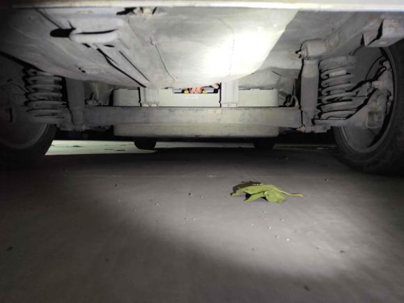 [青岛·鲁B] 二手长安逸动新能源2016款 纯电动豪华型