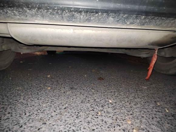 [上海·沪C] 二手大众高尔夫2015款 1.4TSI 自动豪华型