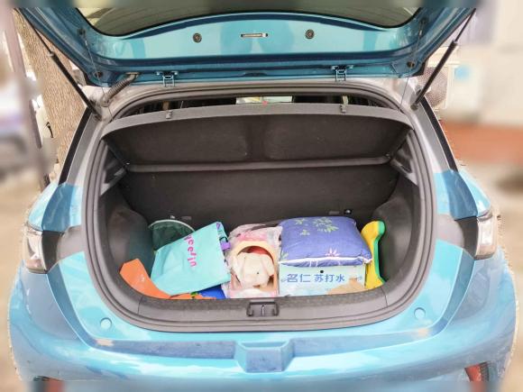 [合肥·皖A] 二手比亚迪海豚2021款 401km 骑士版