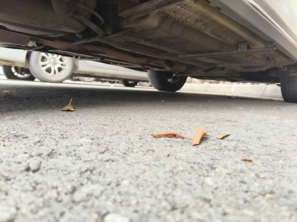 [成都·川A] 二手日产奇骏2014款 2.0L CVT舒适版 2WD