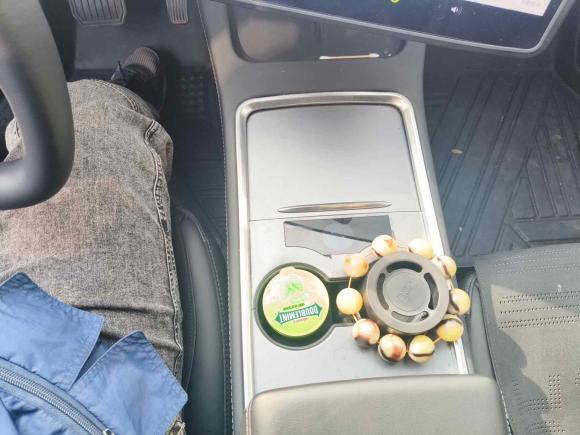 [合肥·皖A] 二手特斯拉Model Y2022款 改款 后轮驱动版