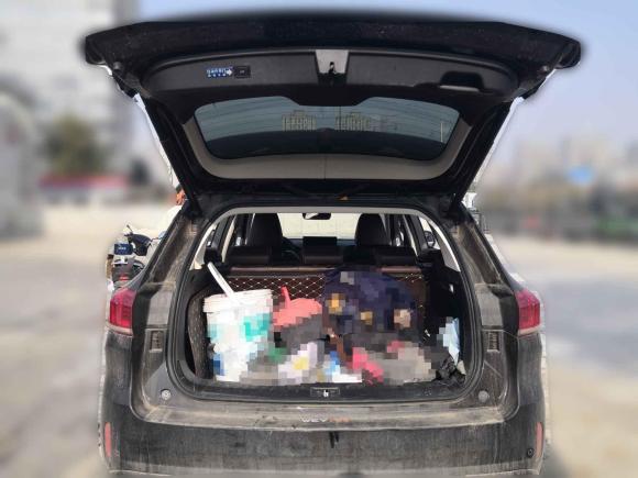 [合肥·皖A] 二手魏牌魏牌 VV62021款 2.0T 两驱智享+