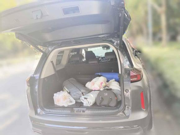 [合肥·皖A] 二手星途星途揽月2021款 400T 两驱星耀Pro版 7座