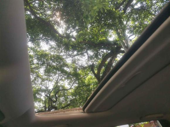 [广州·豫A] 二手长安长安CS552017款 1.5T 自动炫色型