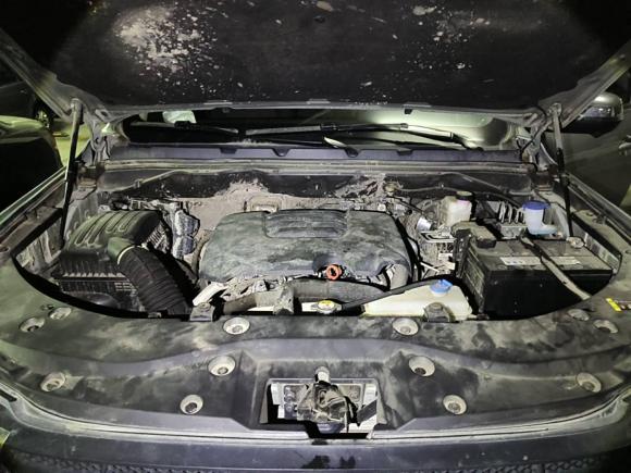 [南京·苏A] 二手长城炮2019款 2.0T自动汽油四驱运动版GW4C20B