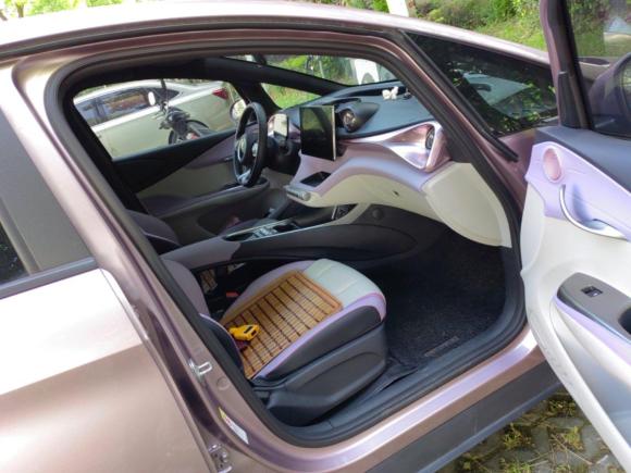 [上海·沪A] 二手比亚迪海豚2021款 405km 时尚版