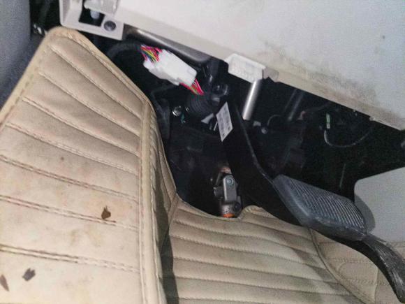 [杭州·粤B] 二手欧拉欧拉白猫2020款 401km 旗舰型