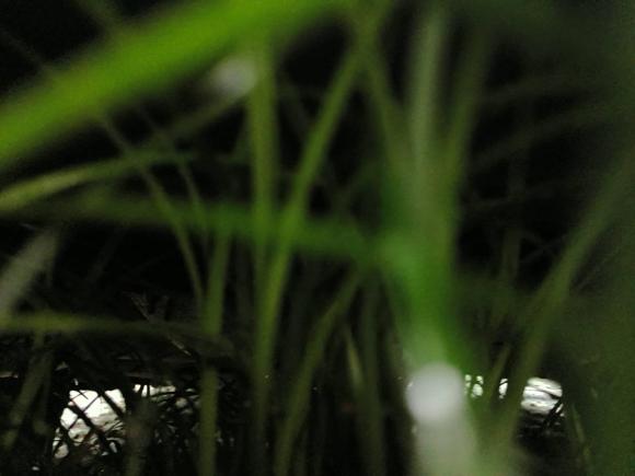 [金华·浙G] 二手奥迪奥迪A6L2016款 30 FSI 舒适型