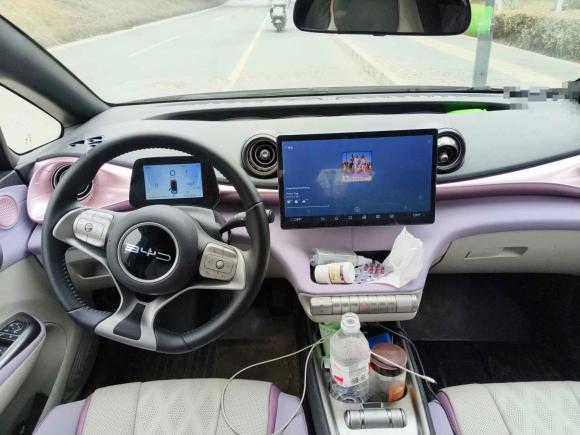 [西安·陕A] 二手比亚迪海豚2023款 420km 自由版