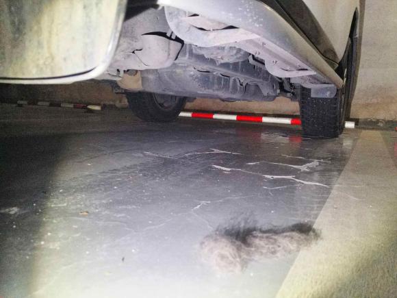 [上海·沪N] 二手丰田普拉多2010款 4.0L 自动VX NAVI