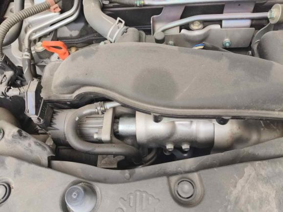 [常州·苏D] 二手本田思域2019款 220TURBO CVT劲动版 国VI