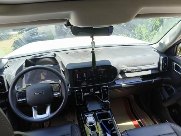 [合肥·皖A] 二手哈弗哈弗大狗2021款 2.0T DCT四驱中华田园犬版