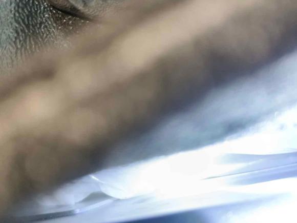 [广州·湘K] 二手日产轩逸2022款 1.6L XL CVT悦享版