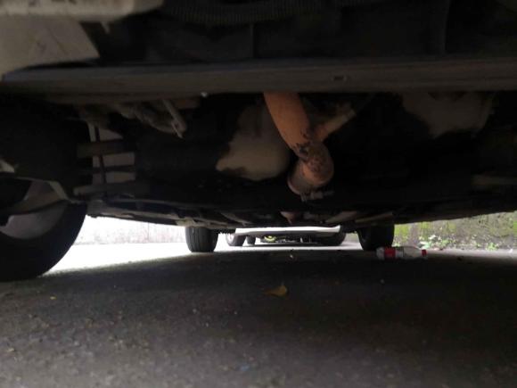 [成都·川A] 二手雪铁龙世嘉2016款 经典 三厢 1.6L 手动CNG