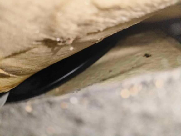 [南京·苏N] 二手福特福睿斯2015款 1.5L 自动时尚型