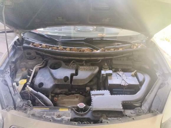 [杭州·浙A] 二手雷诺科雷傲2012款 2.5L 两驱舒适导航版