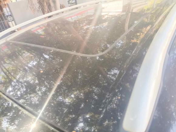 [深圳·鄂E] 二手福特翼虎2013款 1.6L GTDi 四驱精英型