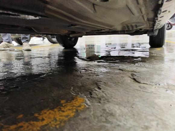 [温州·粤V] 二手日产阳光2015款 1.5XE CVT舒适版