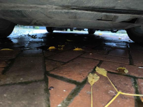 [武汉·鄂A] 二手大众迈腾2018款 330TSI DSG 豪华型