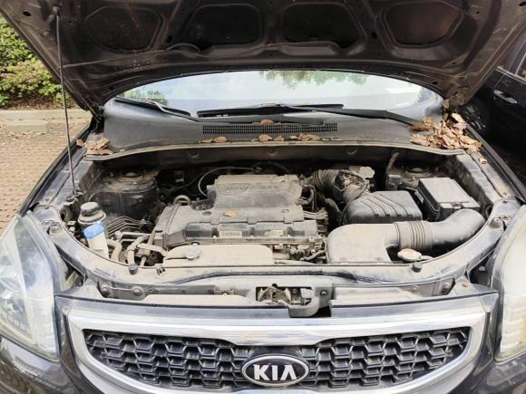 [无锡·苏B] 二手起亚狮跑2013款 2.0L 自动两驱版GL