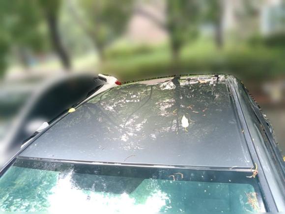 [合肥·皖D] 二手思铭思铭2012款 1.8L 手动