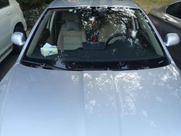 [上海·沪A] 二手斯柯达明锐2013款 1.6L 自动逸俊版