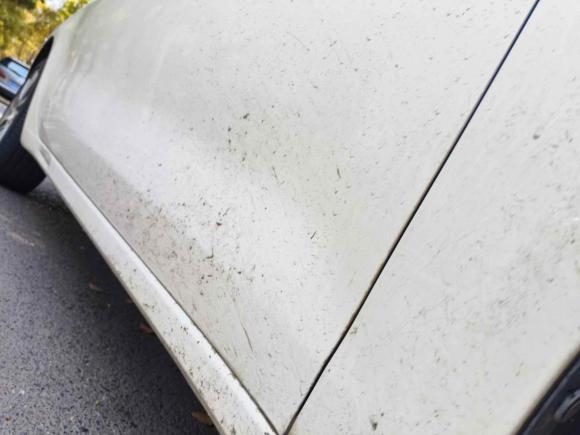 [苏州·苏E] 二手菲亚特致悦2014款 1.4T 自动豪华版