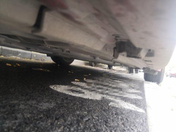 [西安·陕A] 二手宝马宝马Z42009款 sDrive23i领先型