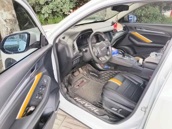 [合肥·渝D] 二手哈弗哈弗F7x2019款 1.5T 两驱极智潮玩版