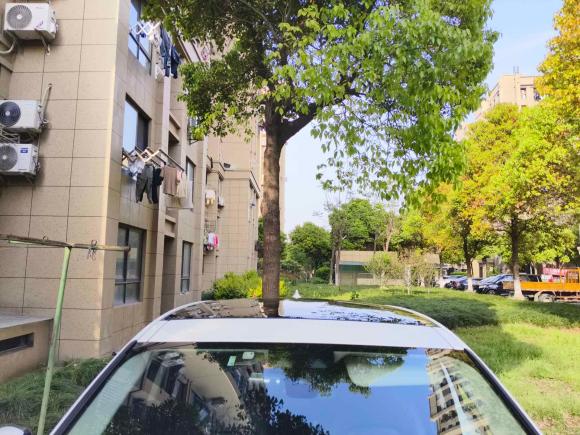 [上海·辽A] 二手捷豹捷豹E-PACE2018款 P200 S 国V