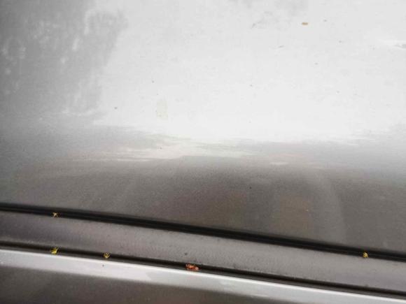 [深圳·粤B] 二手五菱汽车五菱征程2021款 1.5T 手动豪华型