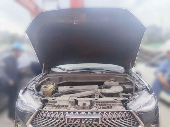 [上海·冀A] 二手哈弗哈弗F7x2021款 2.0T 两驱极智潮玩版