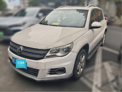[温州·浙C] 大众途观2010款 2.0TSI 自动四驱菁英版