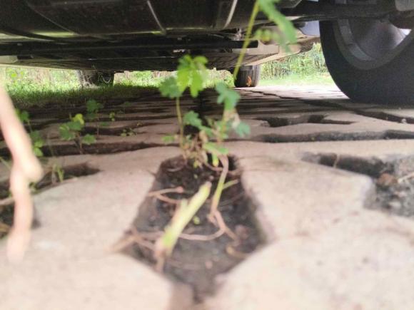 [深圳·粤B] 二手欧拉欧拉芭蕾猫2022款 401km 胡桃夹子版