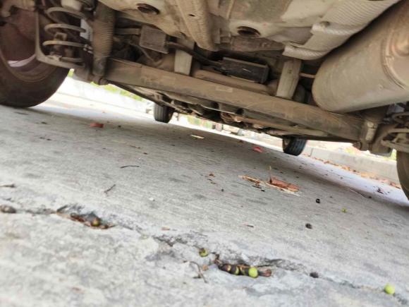 [温州·陕G] 二手现代瑞纳2017款 1.4L 手动焕彩版 国V