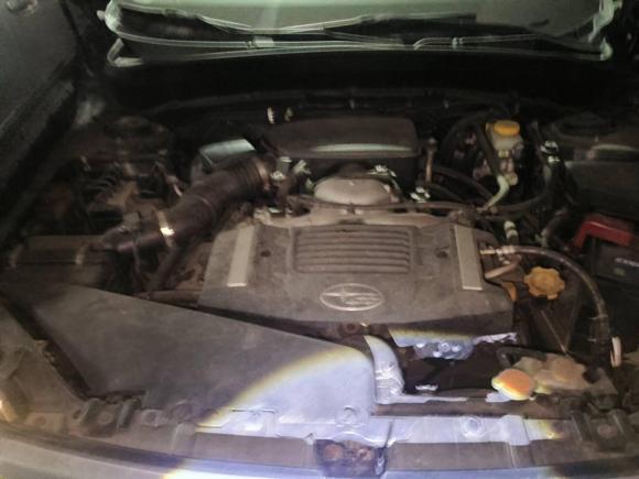 [上海·苏A] 二手斯巴鲁森林人2009款 2.5XS 自动豪华版