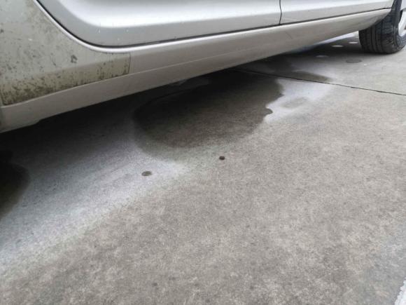 [上海·沪C] 二手斯柯达明锐2013款 1.6L 手动逸俊版