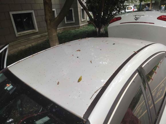 [杭州·陕A] 二手雪铁龙世嘉2016款 经典 三厢 1.6L 手动CNG