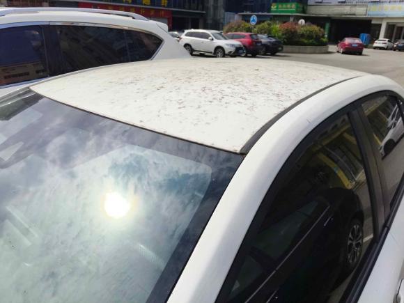 [温州·浙C] 二手丰田卡罗拉2021款 TNGA 1.5L CVT先锋版