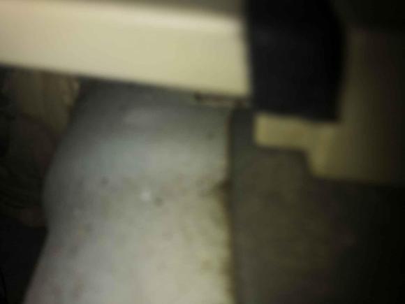 [合肥·皖A] 二手日产骐达TIIDA2008款 1.6L 自动时尚型