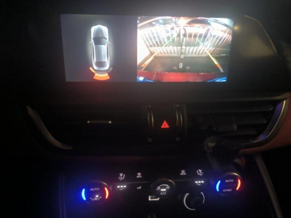 [杭州·浙A] 二手阿尔法·罗密欧Giulia朱丽叶2020款 2.0T 280HP 赛道限量版