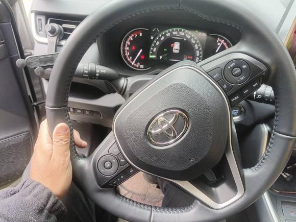 [上海·沪B] 二手丰田RAV4荣放2021款 2.0L CVT两驱风尚PLUS版