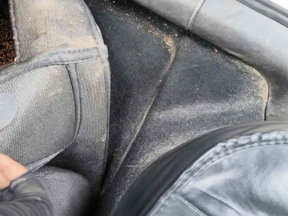 [成都·川G] 二手斯柯达明锐2019款 TSI280 DSG豪华版