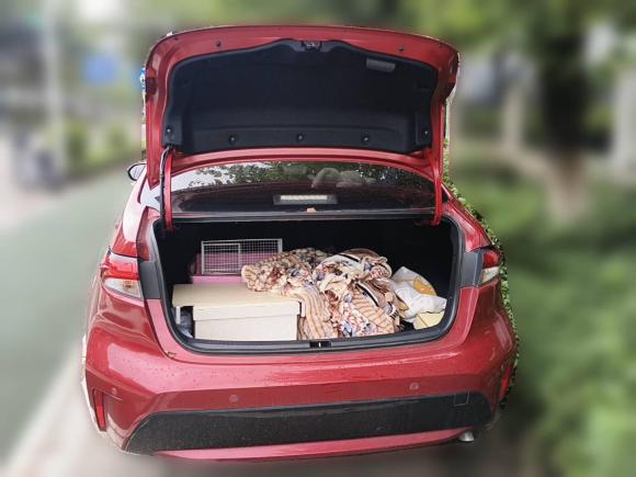 [佛山·粤E] 二手丰田雷凌2019款 双擎 1.8H E-CVT豪华版 国VI