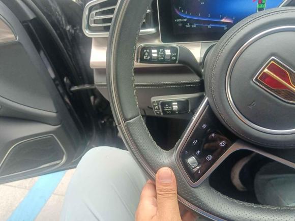 [义乌·浙G] 二手红旗红旗H92020款 2.0T 智联旗享版