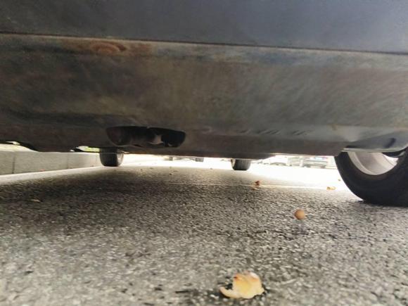 [上海·冀F] 二手宝骏宝骏7302014款 1.5L 手动豪华导航ESP版 7座