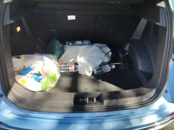 [北京·京A] 二手奇瑞新能源瑞虎e2021款 虎啸版 120kW